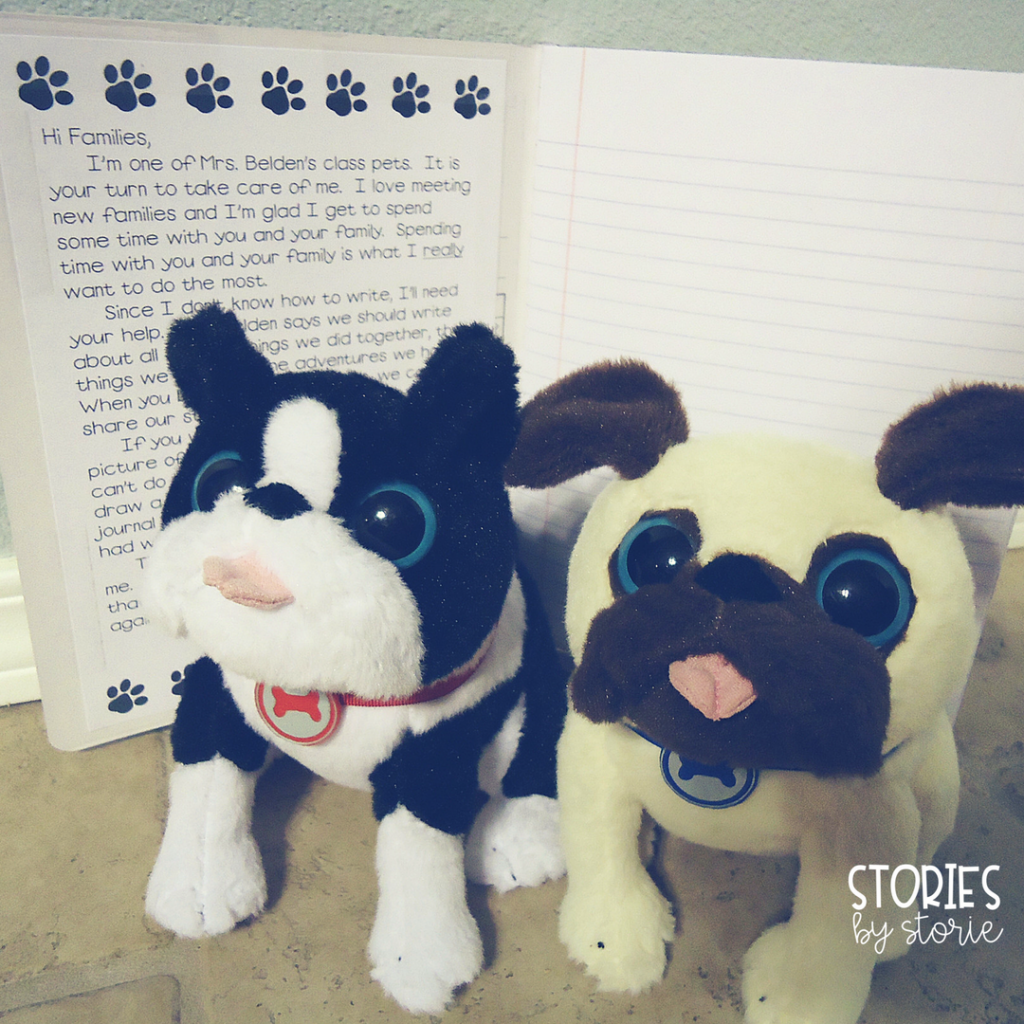 Stuffed animals can be used for a class pet. Our class pets went home with the students. The student would help write about the pet's adventures in a class journal.