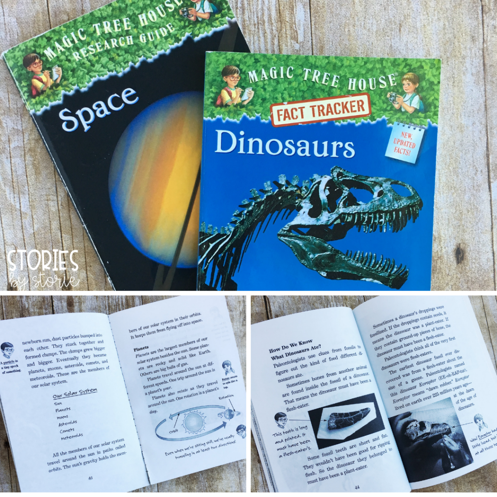 Magic Tree House Fact Trackers are a great nonfiction book series for kids. The format of each book is written in chapters and told from the perspective of Jack and Annie completing research after their adventures. Readers will find a lot of content, illustrations, vocabulary, and side notes written by Jack and Annie.