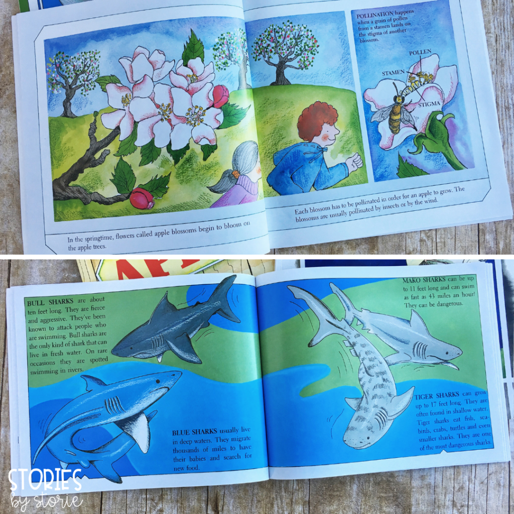 Gail Gibbons is one of the leading authors of nonfiction books for children. Her stories are written in a friendly, picture book format which makes them perfect as a whole class read aloud. She is also the artist behind the richly colored illustrations in her books.