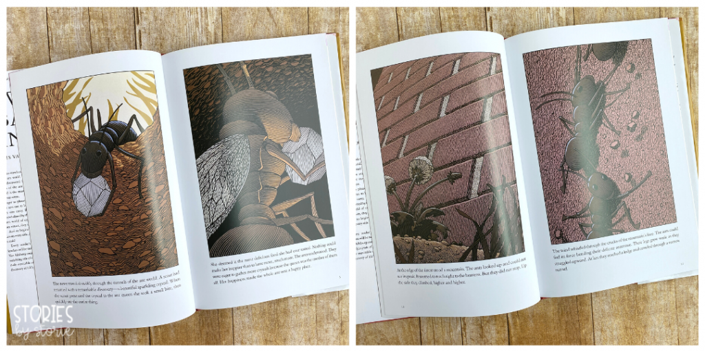 Take a peek at these pen and ink drawings by Chris Van Allsburg.