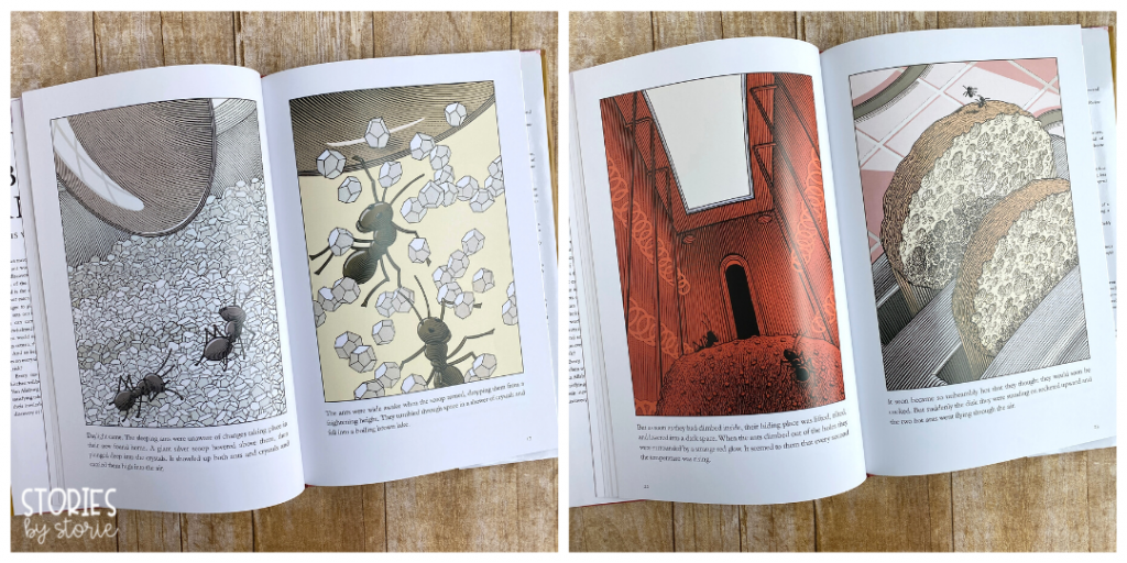 Take a peek at these pen and ink drawings by Chris Van Allsburg.