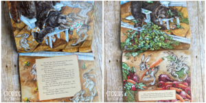 Take a peek inside the book Tops & Bottoms by Janet Stevens. This would be a great story to share in the spring during a gardening unit.