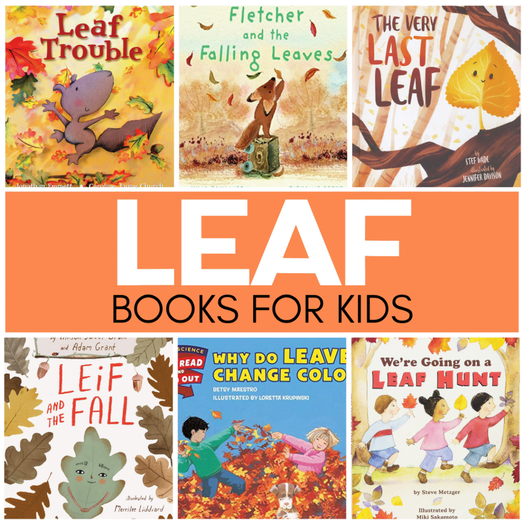 One of my favorite things about the transition from summer to fall is watching the leaves change colors. If you're ready to bring the outdoors indoors, try sharing these leaf books for kids. These will be a great addition to your fall book collection.