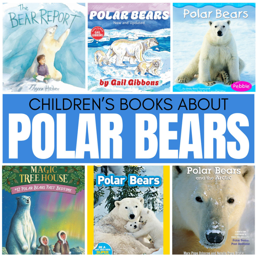 If you are ready to start your unit on Polar Bears, you will want to have a handful of books available that your students can both read and comprehend. Here are some of my favorite polar bear books for students.