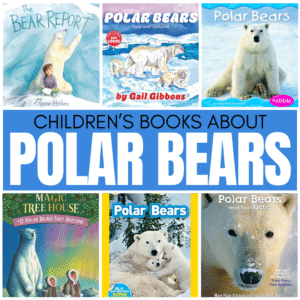 If you are ready to start your unit on Polar Bears, you will want to have a handful of books available that your students can both read and comprehend. Here are some of my favorite polar bear books for students.