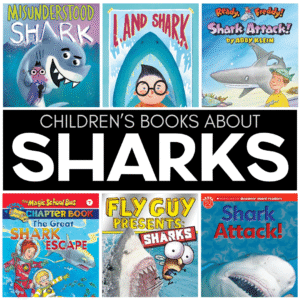 Sharks are fascinating creatures that kids love to study. While there are hundreds of shark books for kids out there, not all of the material is easily accessible to young students. Here are several shark books that your kids can both read and enjoy.